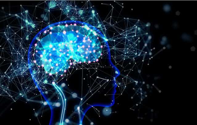 Un avance monumental: el primer atlas de las células del cerebro humano