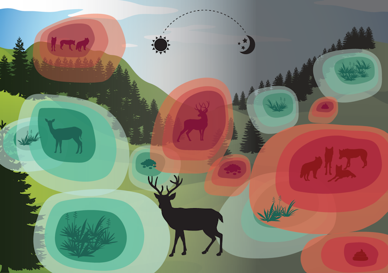 Image of a deer surrounded by green and red 'bubbles' of things represented by smell