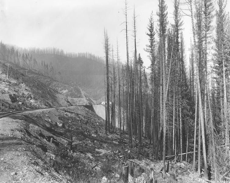 Photo shows burned trees across miles of hillsides along a railroad line