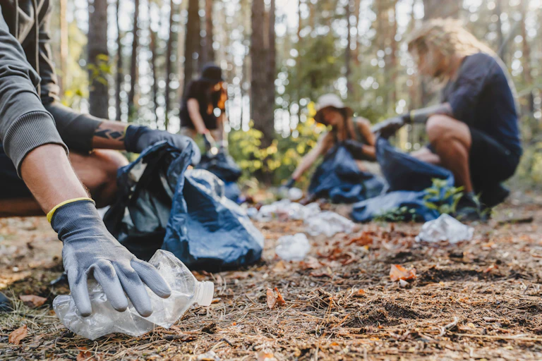 people picking up plastic rubbish in forest