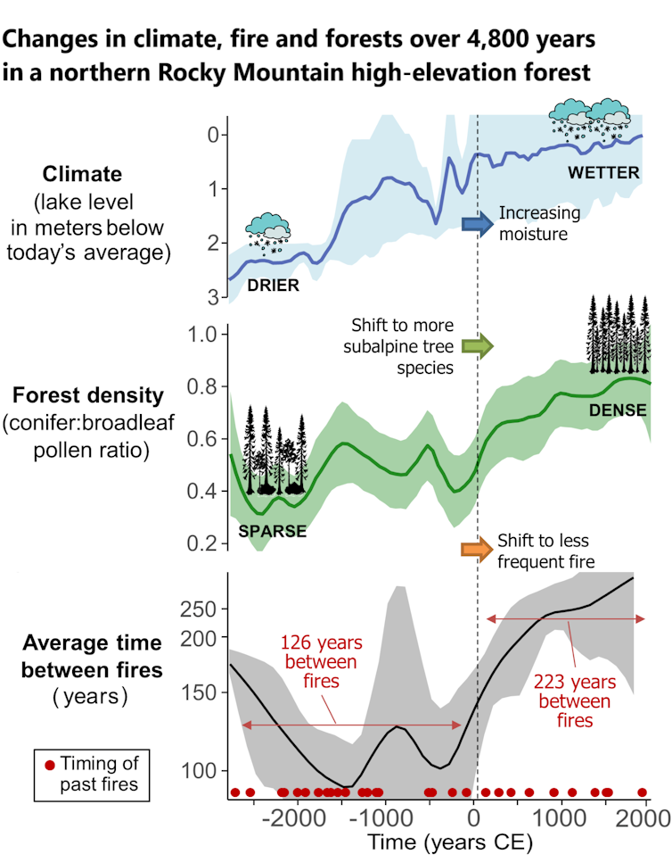 Three illustrated charts show forest density increasing and time between fires falling over the past 4,800 years at one location.
