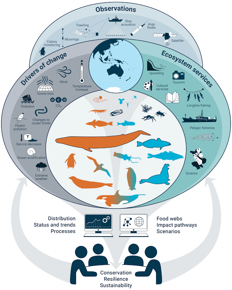 A graphic illustrating how the system-level assessment of marine ecosystems came together, showing a group of people at a table with concentric circles in the background including observations, drivers of change and ecosystem services
