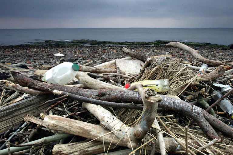 A beach littered with plastic