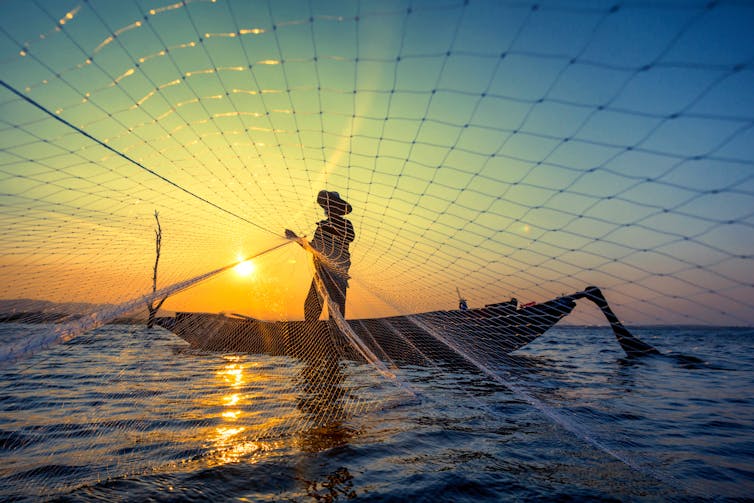 A fisher casts a net over the camera in shallow water at sunset.