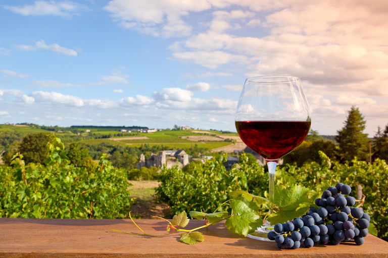 Glass of red wine with vineyards in background