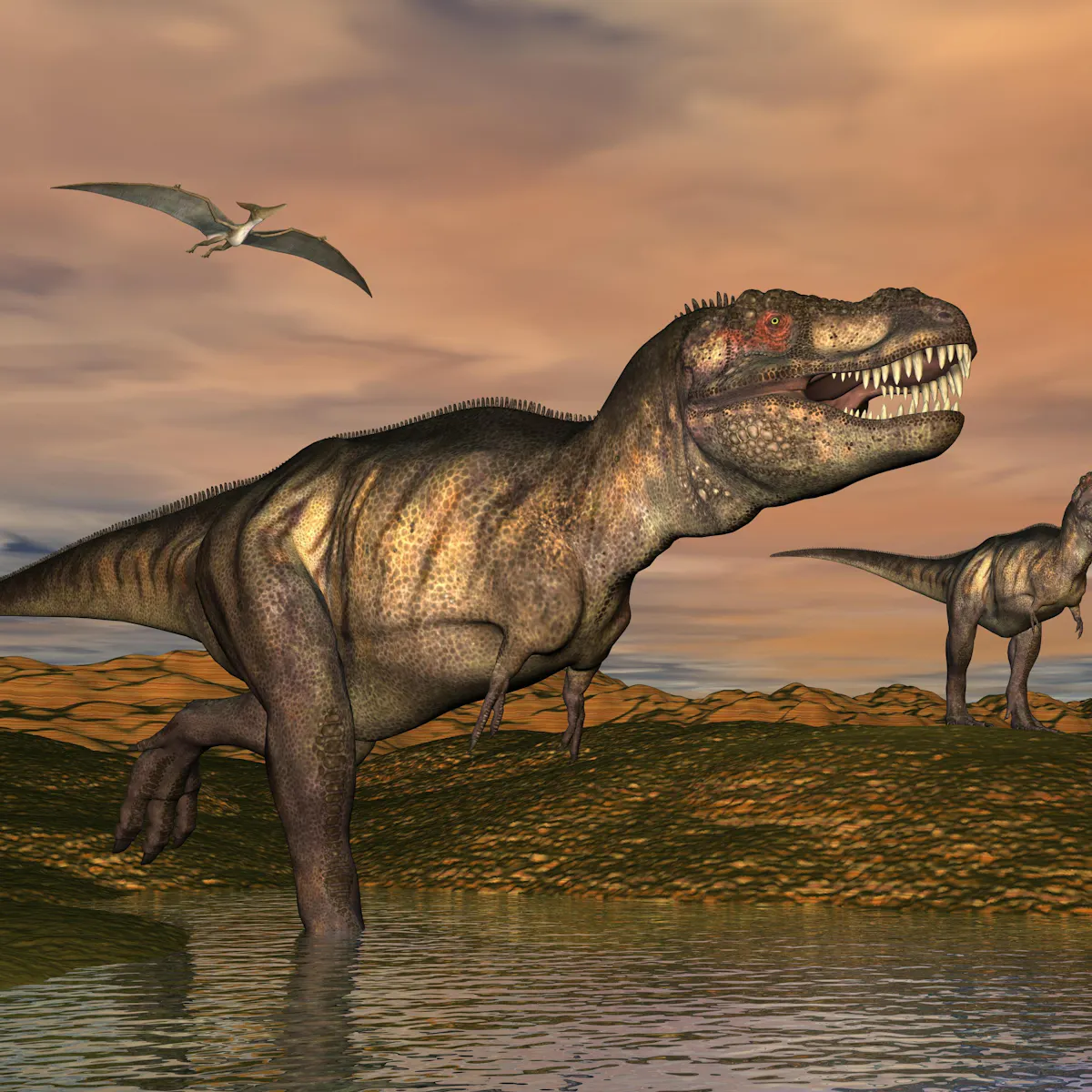 take a t rex and a chicken and you ll