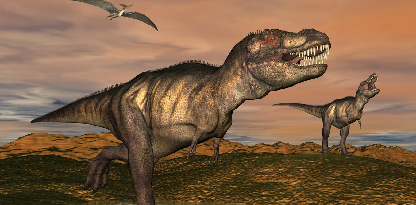 take a t rex and a chicken and you ll