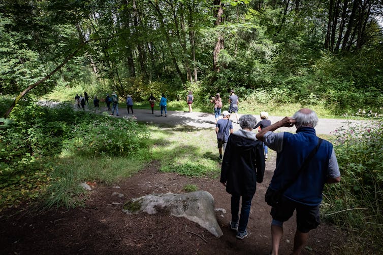 A group of people walking through a forest clearing.