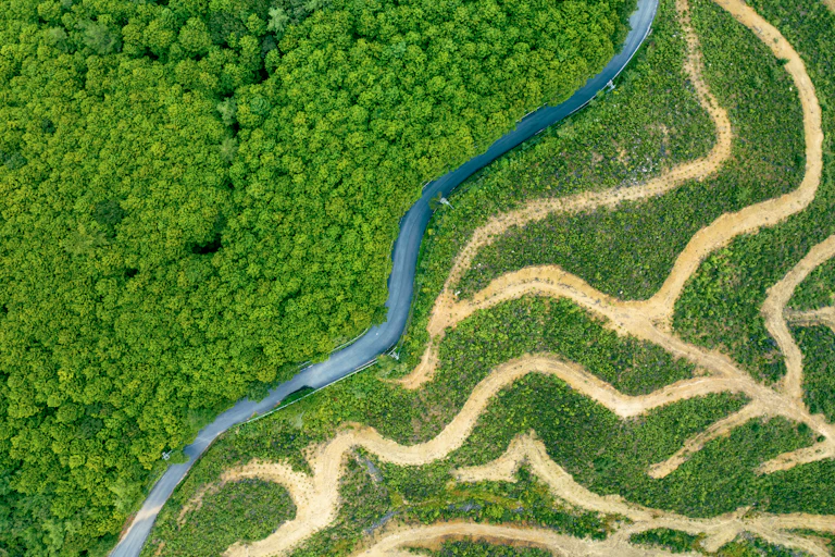 An aerial view of a forest cut by a road for logging trucks