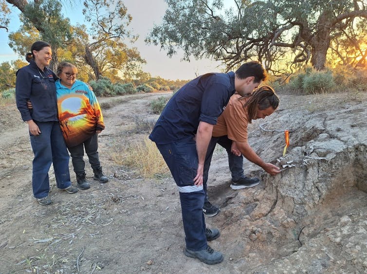 Three people observe a fourth gently removing a white animal bone from a mud bank