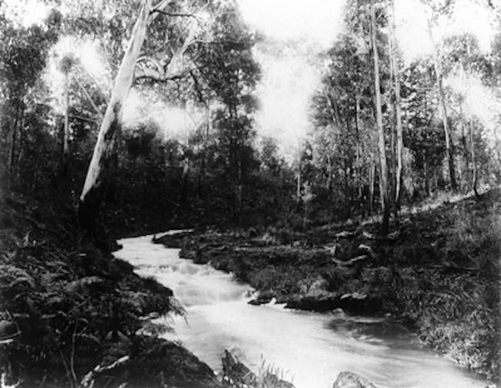 Colonial Rivers In the 1800s, colonial settlers moved Ballarat’s Yarrowee River. The ...