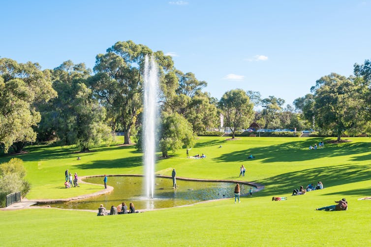 Fountain in Kings Park Perth, green grass