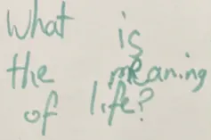 What is the meaning of life?