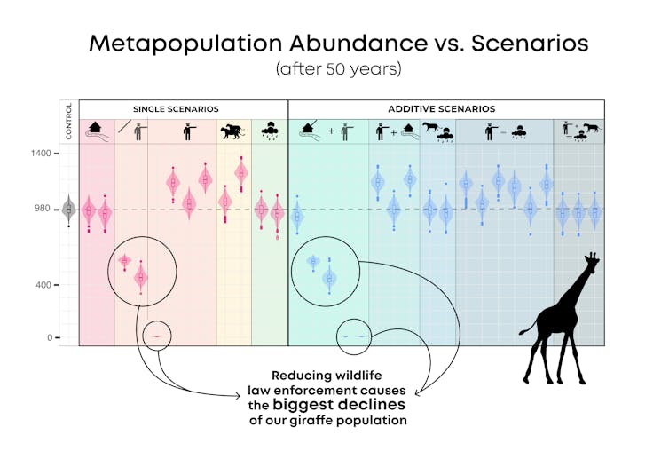 Chart showing relative extinction risk from various threats to giraffes.