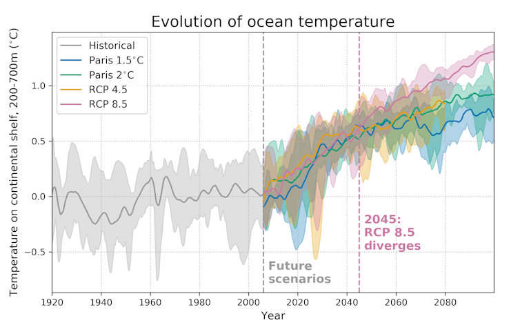 A line graph showing rising ocean temperatures in four different scenarios.