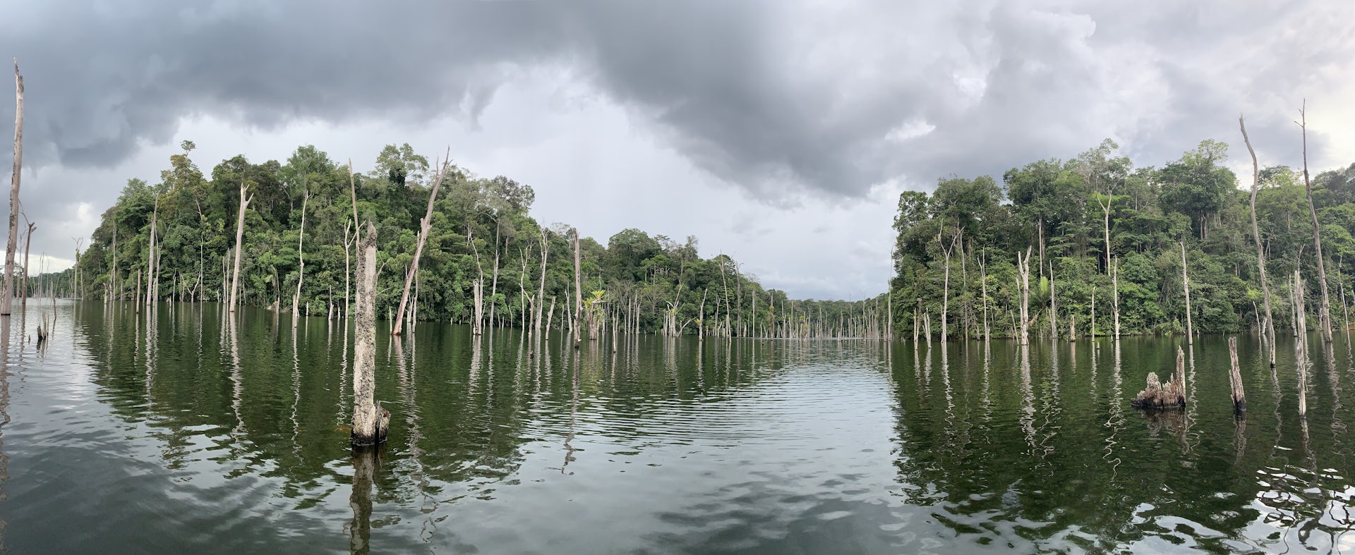 paysage avec un fleuve entouré de forêt tropicale