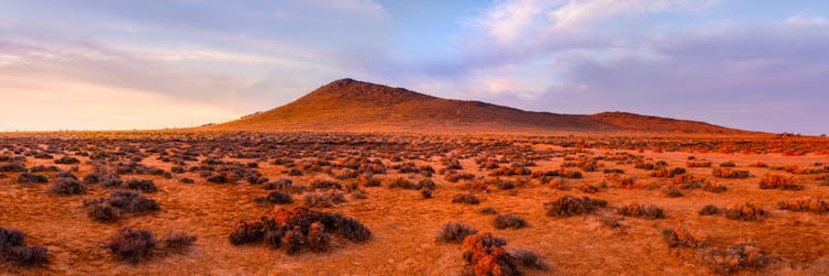 red dirt and shrubs in Australia's red centre deserts