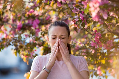 Hello hay fever – why pressing under your nose could stop a sneeze but why you shouldn't
