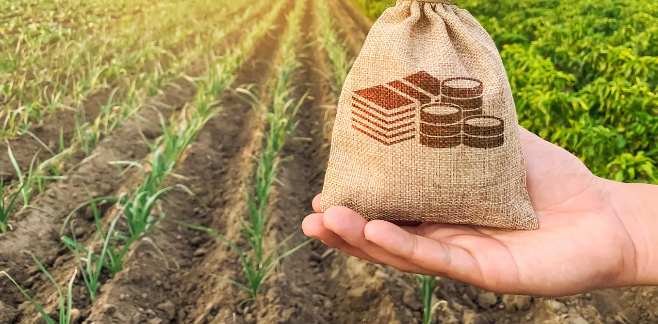 En France, une taxation des terres agricoles qui favorise leur artificialisation En France, une taxation des terres agricoles qui favorise leur artificialisation