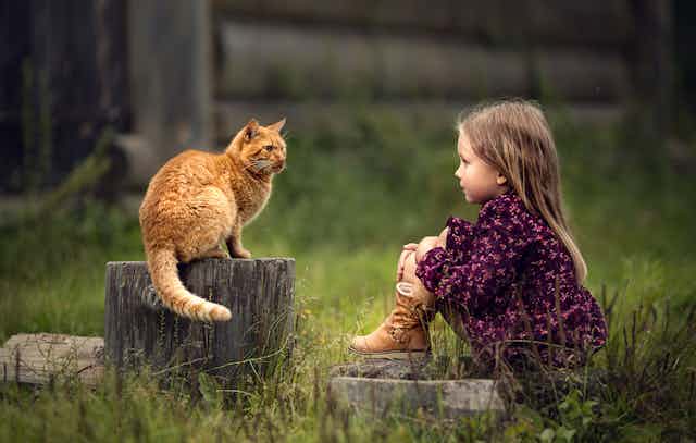 Une petite fille observe un chat roux assis sur une bûche.