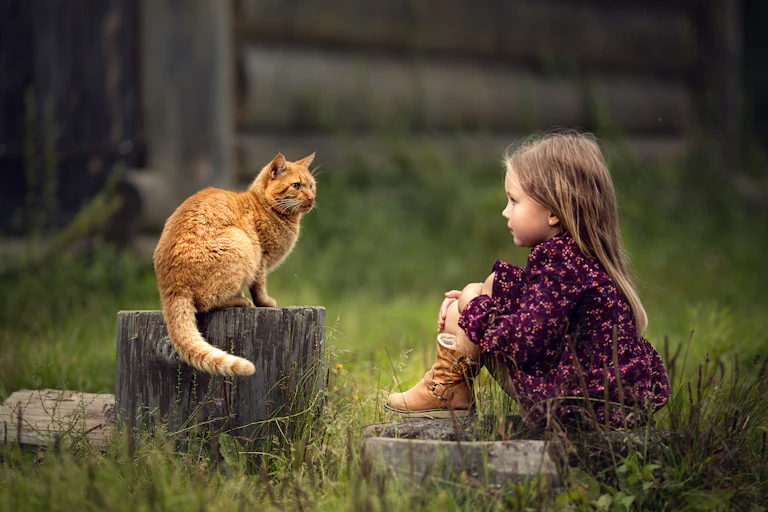 Une petite fille observe un chat roux assis sur une bûche.