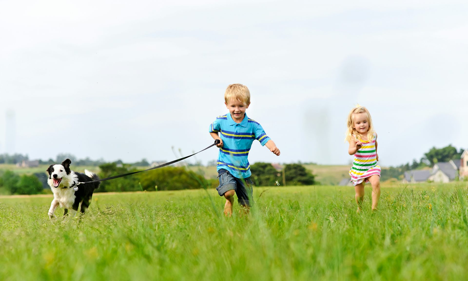 Photo de deux enfants courant dans un pré avec un chien.