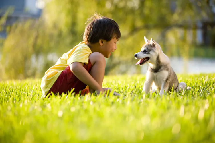 Photo d’un petit garçon qui parle à un chiot.