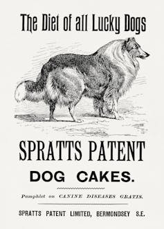 A vintage advertisement for Spratts dog cakes.