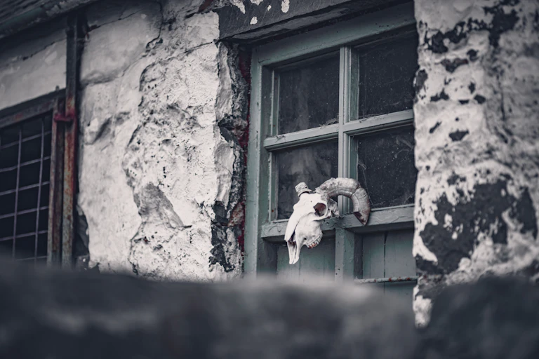 An animal skull is displayed on the outside window of a crumbling building.