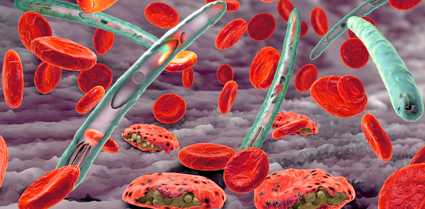 « Nous pouvons éradiquer le paludisme d’ici 2040 », se projette Adrian Hill dont le vaccin vient d’être approuvé par l’OMS « Nous pouvons éradiquer le paludisme d’ici 2040 », se projette Adrian Hill dont le vaccin vient d’être approuvé par l’OMS