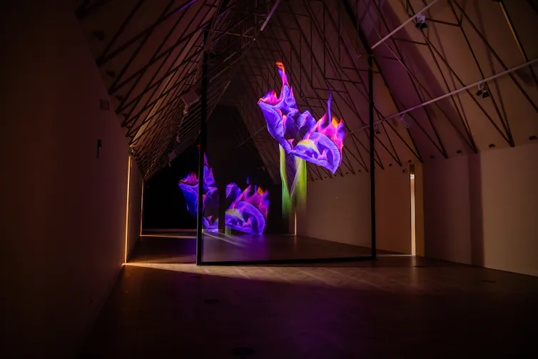 projection shows a burning Iris flower