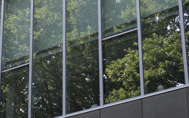 Fenêtre d’un immeuble de bureaux dont la vitre est recouverte de points.