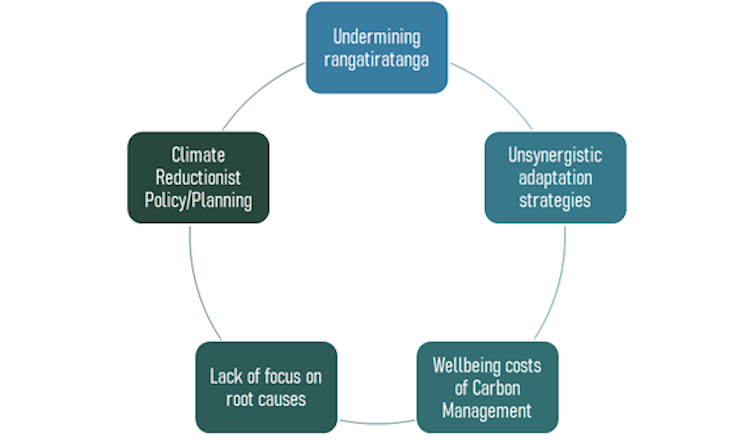 A diagram that spells out some reasons for maladaptation that are discussed further in this article.