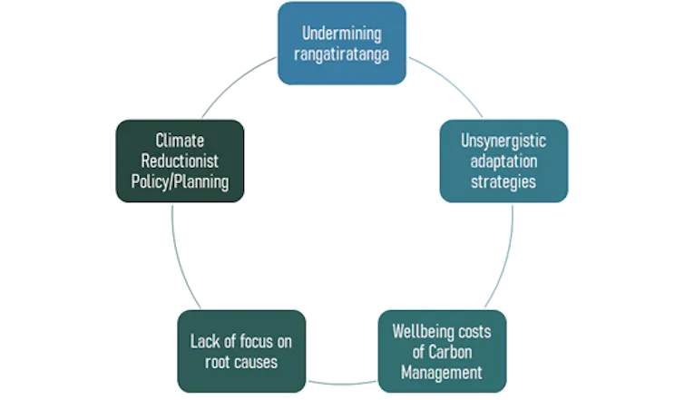 A diagram that spells out some reasons for maladaptation that are discussed further in this article.