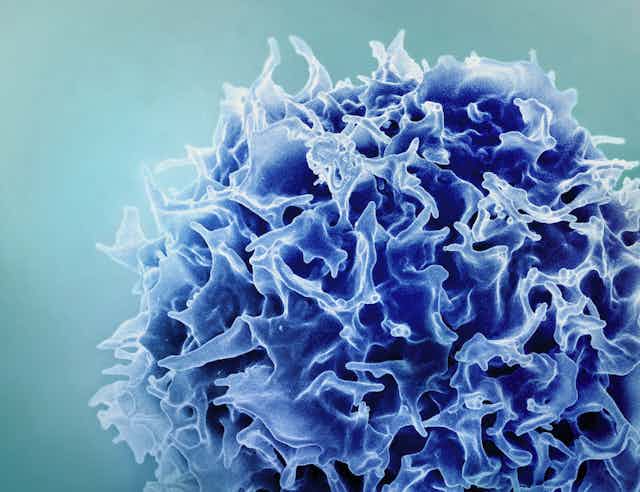 Ilustração de uma célula azul