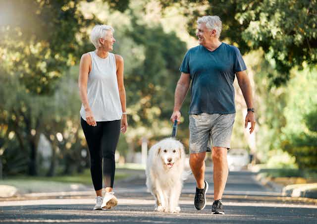 A couple walking in a park with a dog.