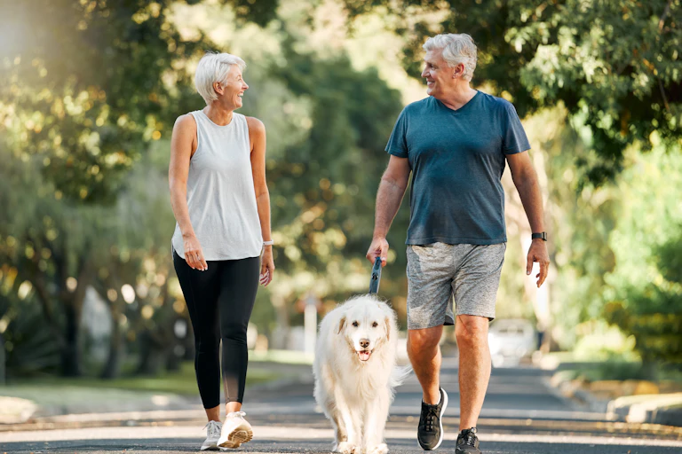 A couple walking in a park with a dog.