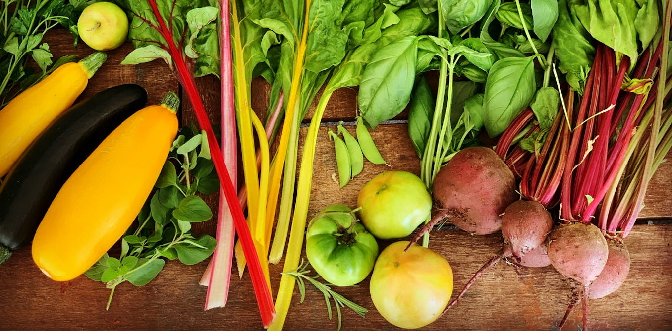 Growing Your Own Food And Foraging Can Help Tackle Your Ballooning growing-your-own-food-and-foraging-can-help-tackle-your-ballooning