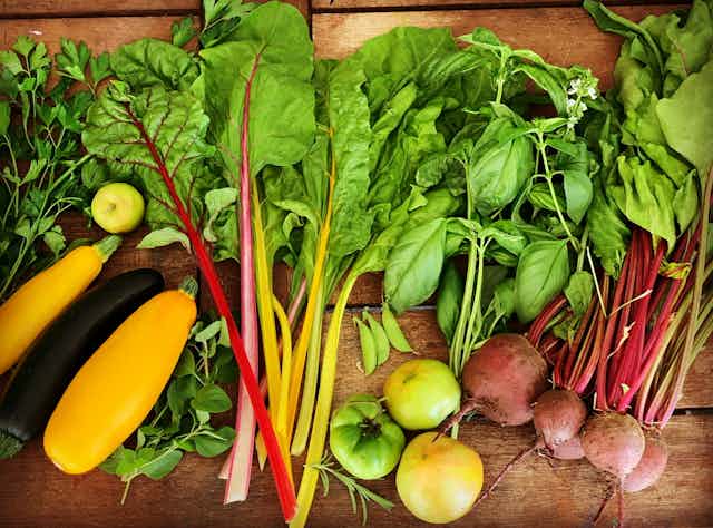 A display of home grown produce laid out on a wooden table. Produce includes tomatoes, rainbow chard, beetroot, herbs and zucchinis