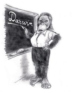 Un primate face à un tableau noir où est inscrit le nom Darwin.