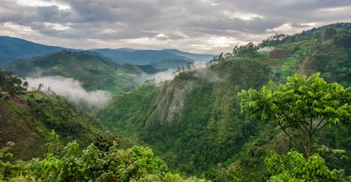 Amazonie news, research and analysis - the conversation