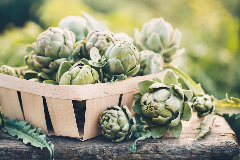A basket of artichokes.