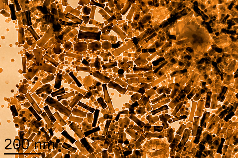 a microscope image of rod shaped particles