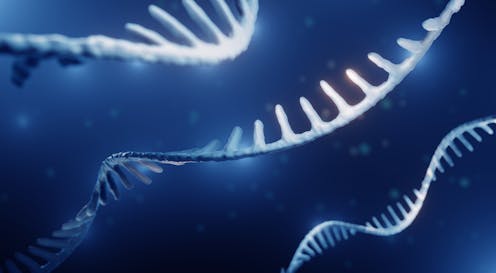 COVID proved the therapeutic potential of RNA technology – making it more available is the next goal