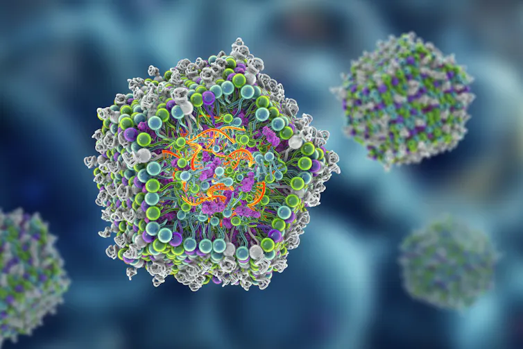 A computer illustration of a lipid nanoparticle envelope used to hold a mRNA vaccine.