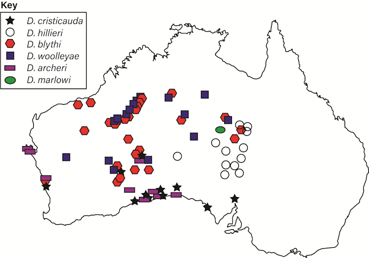 A map of Australia dotted with locations across the west and north where different specimens were found.