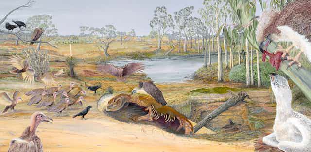 Illustration showing prehistoric birds gathered near a watering hole, with some eating a dead animal.