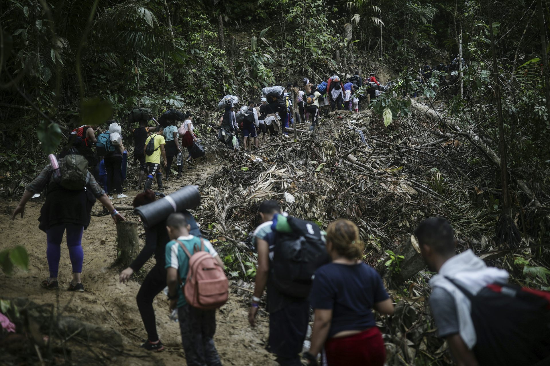 A line of people carrying backpacks trek through dense jungle.