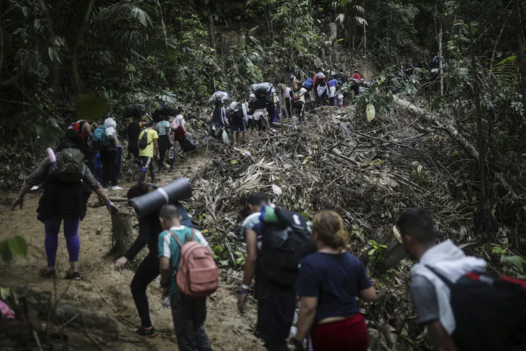 A line of people carrying backpacks trek through dense jungle.