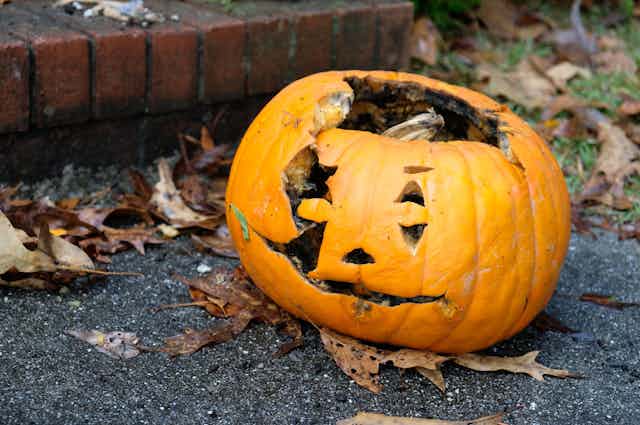 The true story of the pumpkin on Halloween: Why are pumpkins a